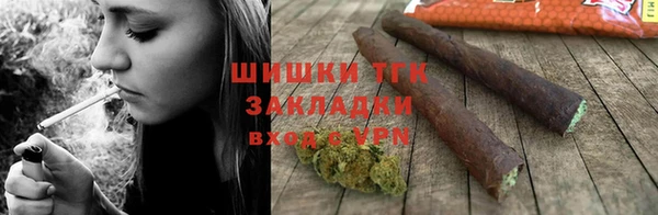 твердый Гусев