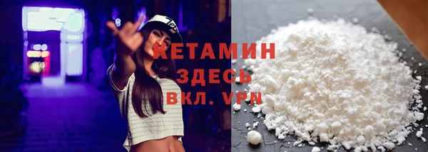 твердый Гусев