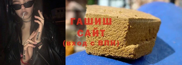 твердый Гусев