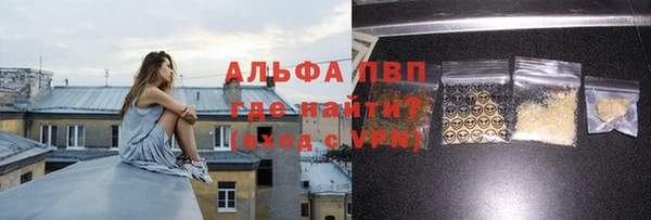 твердый Гусев