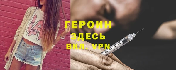 твердый Гусев