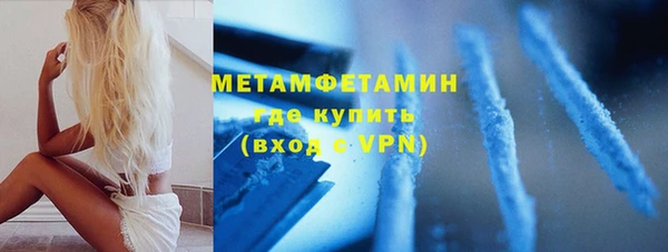 твердый Гусев