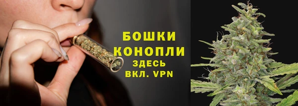 СК Гусь-Хрустальный