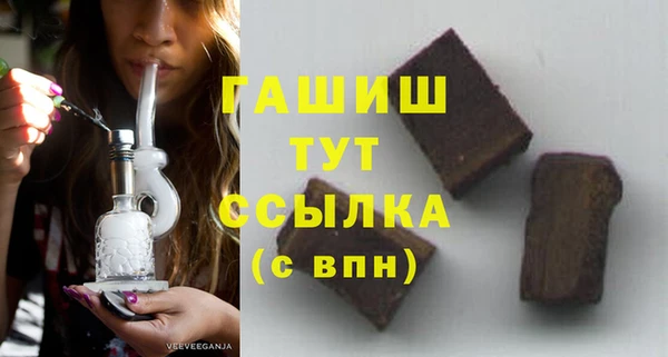 твердый Гусев