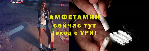 твердый Гусев
