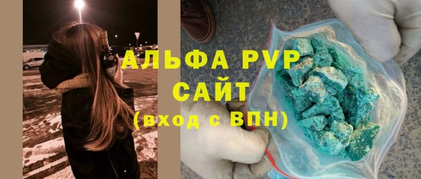 твердый Гусев