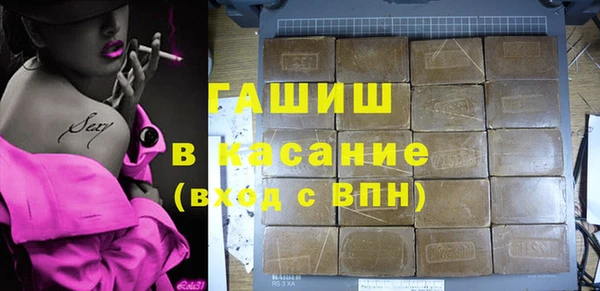твердый Гусев