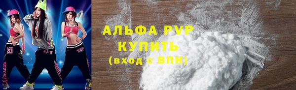твердый Гусев