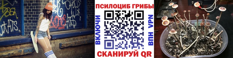 hydra вход где можно купить Емва Галлюциногенные грибы Psilocybine cubensis